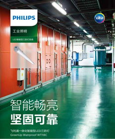 飛利浦wt118c 一體化led三防支架燈