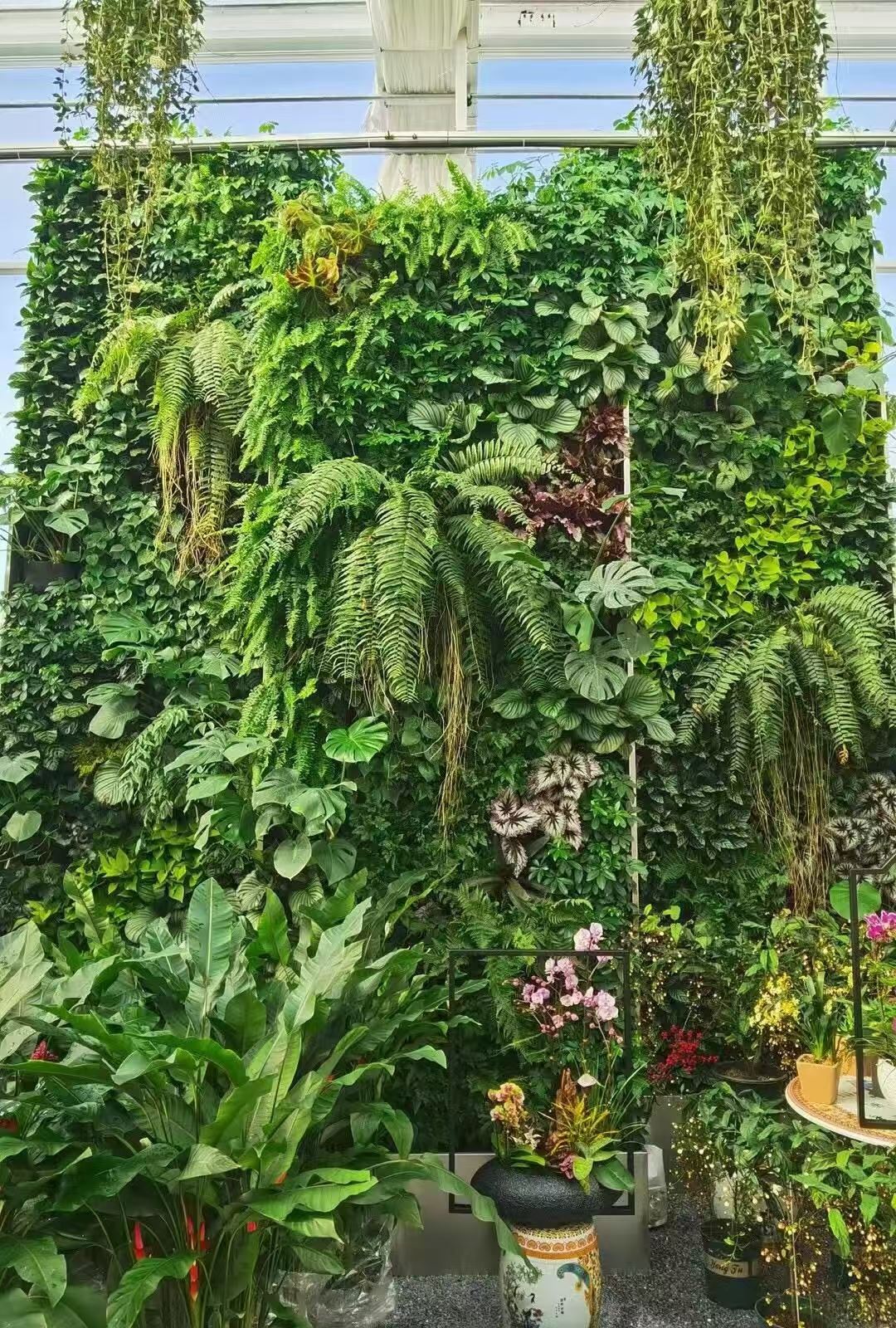 浙江綠墻植物工廠批發 引領現代景觀工程的綠色新風尚