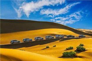 網通社汽車 赤峰眾匯上汽大眾