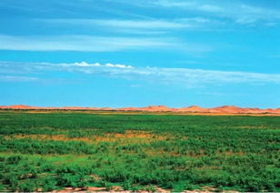 美麗中國先鋒榜 18 內蒙古杭錦旗庫布其沙漠治理創新實踐