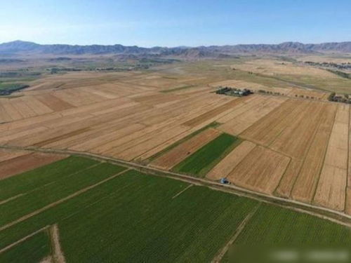 無人機鏡頭下的新疆環(huán)保 建設與發(fā)展中的生態(tài)保護